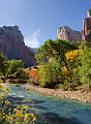 10606_12_10_2011_zion_national_park_utah_springdale_floor_valley_scenic_river_canyon_rock_sky_autum_color_tree_panoramic_landscape_photography_panorama_landschaft_52_4950x6729